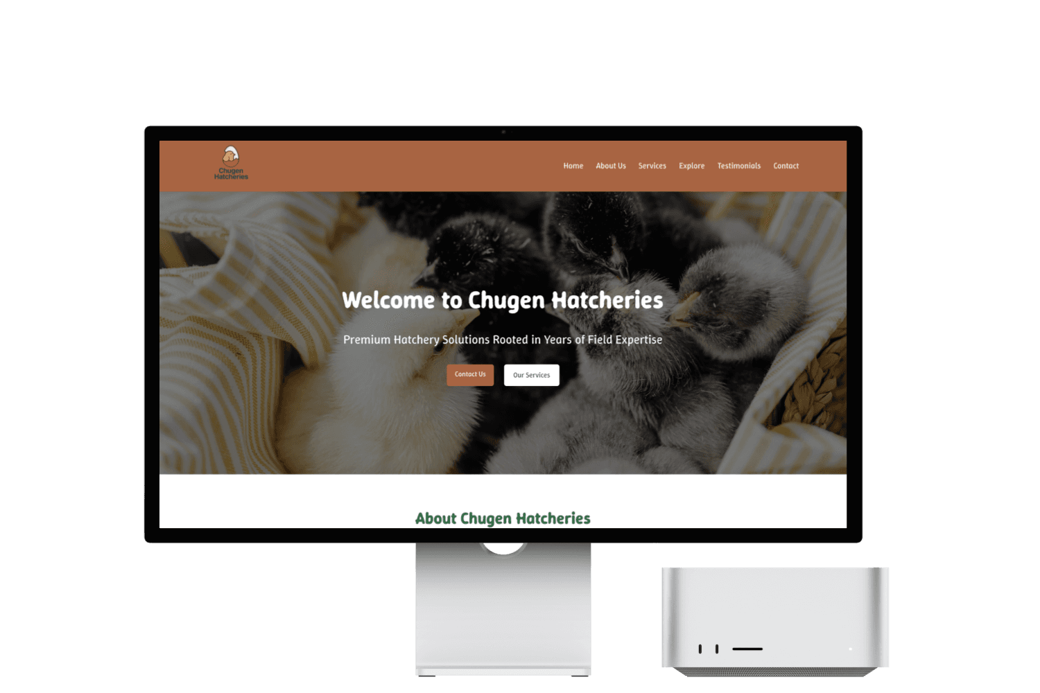 Desktop Website Mockup